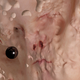V Galeriji Simulaker: Aljaž Rudolf, Eva Smrekar – FaceOrFactory: Holey Surface (Satellite)