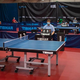 WTT Youth Contender I Feel Otočec: Drugi dan v pričakovanju finalne skupine