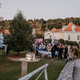 6. Mestna modna revija bo v rastlinjaku