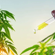 Nove raziskave CBD: od epilepsije do raka