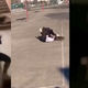 VIDEO: Brutalen pretep deklet na šolskem igrišču