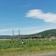 FOTO: V Jagodni deželi več sto ljudi, promet oviran