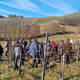 Mehka rez vinske trte za boljši pridelek