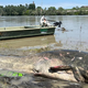 FOTO: Ribič ujel pošastnega soma: »Česa takega še nisem videl«