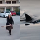 VIDEO: Neverjetni prizor na Hrvaškem: Babica iz morja lovila hobotnico, v ozadju pa plavut morskega psa