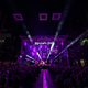 FOTO in VIDEO: Josipa Lisac navdušila na Festivalu Lent: Umetniški performans, ki ga ne pozabiš