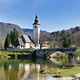 Zastrupitve psov ob Bohinjskem jezeru: To so pokazale analize