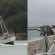 VIDEO: Grozljivi prizori neurja v Istri