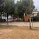 FOTO: Na Nigradu pravijo, da zalijejo več kot 1000 dreves dnevno, a na nekatera so očitno pozabili