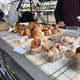 Za kilogram jurčkov na tej slovenski tržnici tudi 50 evrov, kakšne so cene v Mariboru?