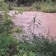 VIDEO: Silovite poplave Dragonje: Prebivalcem svetujejo, naj ne zapuščajo hiš