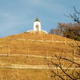 Štajerski vinogradnik kritičen do načrtovane zasaditve na Piramidi: Zamujena priložnost za vino z identiteto?