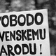 Srdjan Živulović - od prvega fotoaparata pri trinajstih letih do Pulitzerjeve nagrade