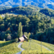 Slovenija, vinorodna dežela, bo svetu postregla z najboljšim!