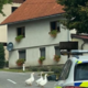FOTO: "Gagice" čez cesto kar mimo policije: njihov zapis vas bo od srca nasmejal