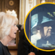Soproga novega kralja: Elizabeta II. je bila osamljena ženska