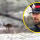 Ko se v kanadski divjini med medvedi in losi išče pobeglega - kenguruja!