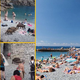 Divje svinje se brez zadržkov sprehajajo med kopalci na plaži (FOTO)