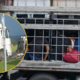 FOTO: Policisti so ga ustavili, ker je telefoniral in ni bil pripasan (nato pa odkrili, da prevaža kar 19 nezakonitih migrantov)
