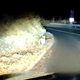 Skrivnostno bitje se sprehaja po Hrvaškem in se ne boji nikogar: številnim ni jasno, katera žival je na posnetku (VIDEO)