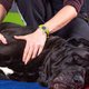 Če pri psu opazite te bolezenske znake, nikar ne odlašajte z obiskom veterinarja