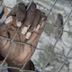 Odmeva domnevno okrutno ravnanje grške obalne straže z migranti: na navedbe se je odzvala grška vlada