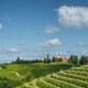 Od ovčje volne do martinovanja: zgodbe, ki so Sloveniji prinesle svetovno priznanje