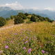 Madžarski turist o osupljivem odkritju v Sloveniji, ki je nanj pustilo velik vtis