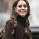 TURBO RAK ne obstaja - epidemiologinja o govoricah, Kate Middleton in cepivu