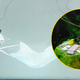 Uganete, kaj je na fotografiji? Gre za neverjetno rešitev, ki bi lahko pripomogla k zaskrbljujočemu stanju oceanov (VIDEO)