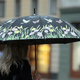 Kdaj bo konec kislega vremena? To pravijo vremenoslovci