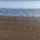 Turiste na priljubljeni plaži v jutranjih urah pričakal pretresljiv prizor: nekateri kričali, drugim šlo na bruhanje