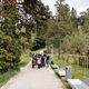 Skriti park, kjer drevesa pripovedujejo zgodbe – popolna ideja za izlet