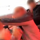 Spopad pijanih potnikov preusmeril letalo v Prištino: prizori naravnost šokantni (celo pljuvali so se!)