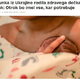 Slovenci močno zavidajo ukrajinskemu novorojenčku