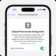 Apple razvil svoj upravljalnik gesel Passwords