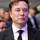 V xAI največja nevarnost prav Elon Musk
