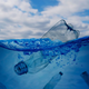 Onesnaževanje oceanov s plastiko: Znanstveniki so našli rešitev!