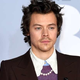 Pevec Harry Styles investitor najsodobnejšega gradbenega projekta