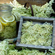 Najbolj enostaven recept za bezgov sirup