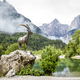 Kranjska ni sanjska samo pozimi