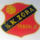 Zgodba iz nekoč pomembnega nogometnega centra: Kako se je nogomet začel igrati v Trbovljah?