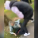 Ali sta pretepena 13-letnik in kmet, ki so ga napadli Romi, kaj manj vredna od prvorazrednice?