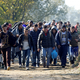 Cene, ki jih plačujemo za tečaje slovenščine za migrante, so vrtoglave