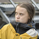 Greta Thunberg se je vmešala in opekla