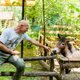 Kakšna bo usoda ZOO parka Rožman, zatočišča odpisanih živali?