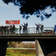 VIDEO: Množični protesti v Parizu po vzoru kanadskih proticepilcev