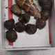 Želela narediti ogrlico iz žirafjih iztrebkov