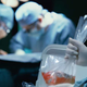 Razglasili so ga za možgansko mrtvega in mu začeli odstranjevati organe, čeprav je bil nedvoumno živ