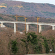 Zahtevajo, naj se gradnja levega tira od Divače do Kopra začne čim prej